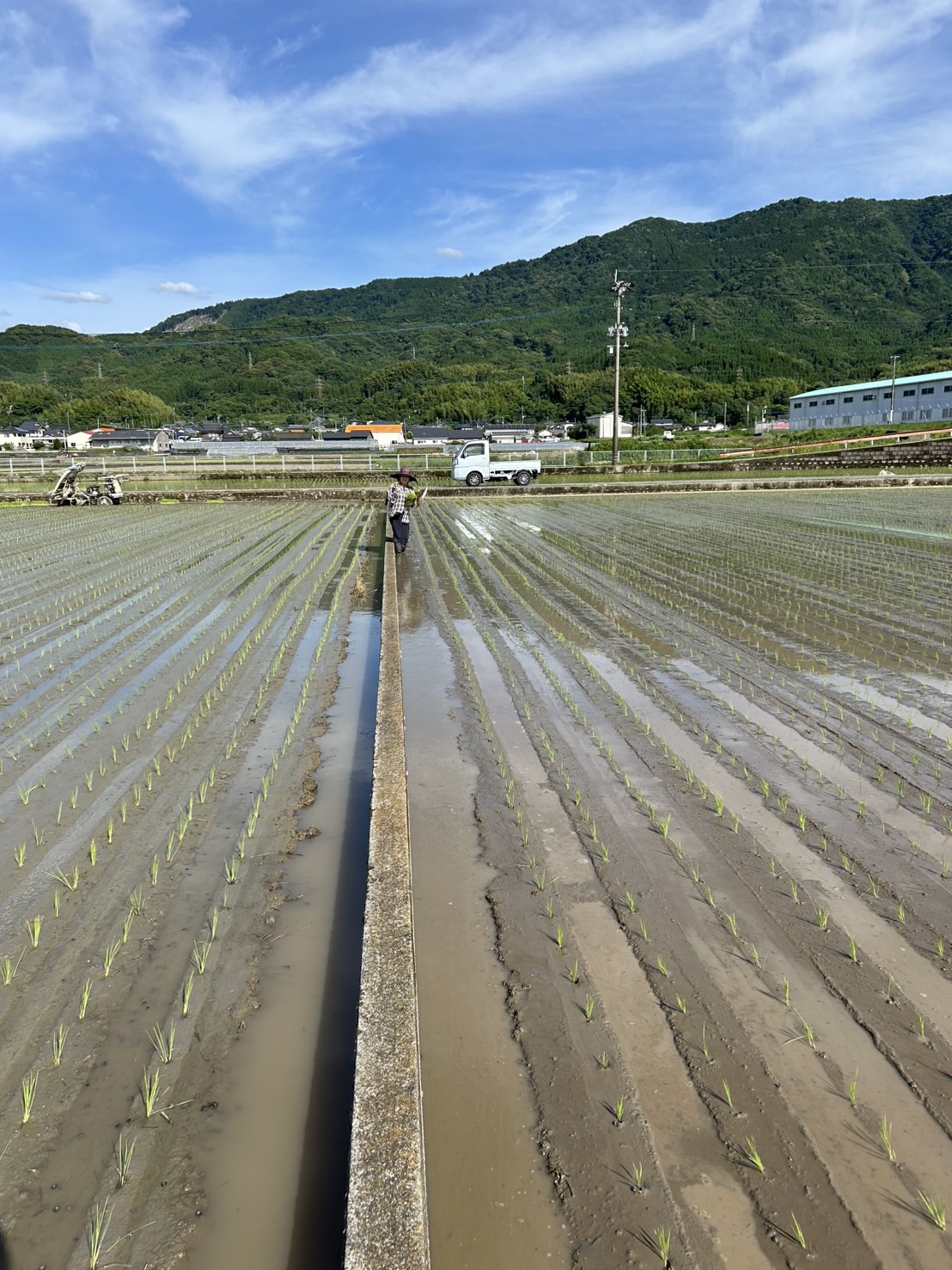 今年の夏は、長そうです。